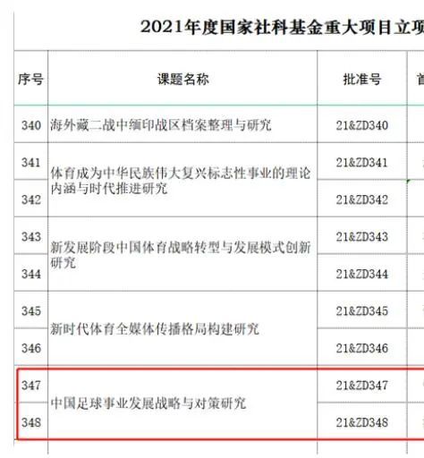 国产精品久久久久国产精品