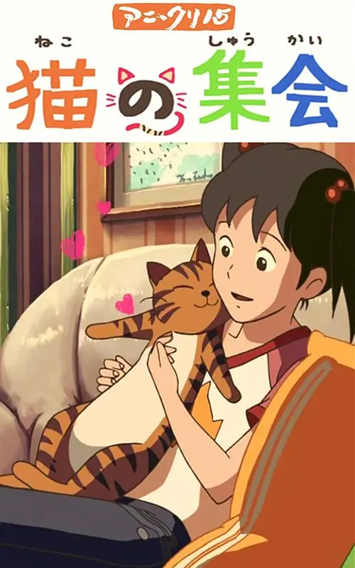 日韩精品不卡