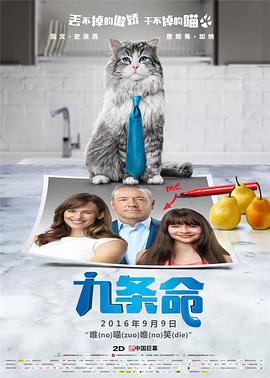 精品一区二区三区在线视频观看