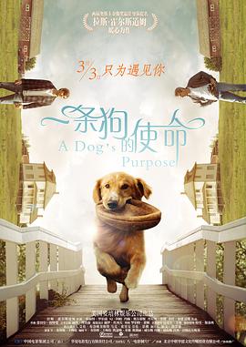 久久韩日