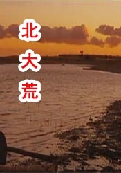 亚洲国产精品久久久久婷婷老年