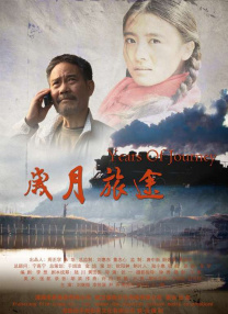 一夜七次郎在线视频