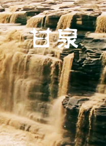 老司机免费福利视频